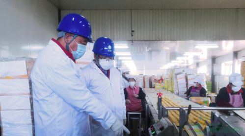 河北石家莊供電公司 暖心服務助力扶貧微工廠 譜寫鄉村振興新篇章